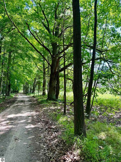 Tiny photo for 16121 130th Avenue, Leroy, MI 49655 (MLS # 1942930)