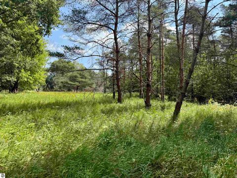 Tiny photo for 16121 130th Avenue, Leroy, MI 49655 (MLS # 1942930)