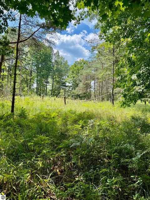 Tiny photo for 16121 130th Avenue, Leroy, MI 49655 (MLS # 1942930)