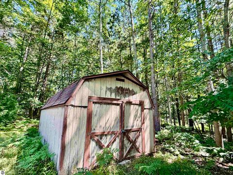 Tiny photo for 16121 130th Avenue, Leroy, MI 49655 (MLS # 1942930)