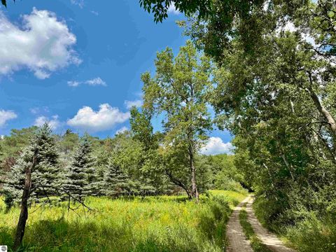 Tiny photo for 16121 130th Avenue, Leroy, MI 49655 (MLS # 1942930)