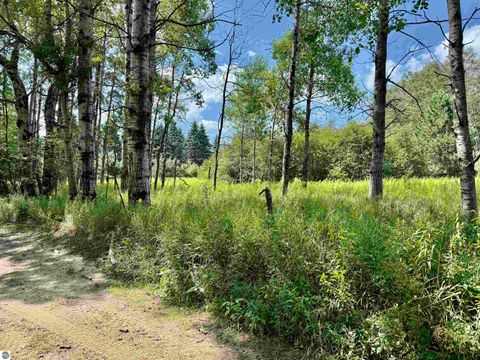 Tiny photo for 16121 130th Avenue, Leroy, MI 49655 (MLS # 1942930)