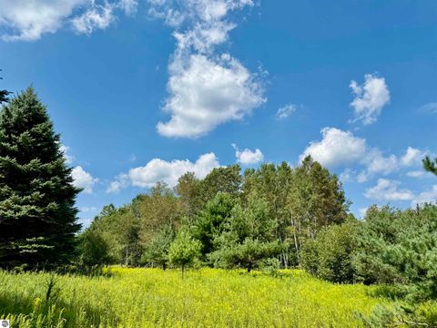 Tiny photo for 16121 130th Avenue, Leroy, MI 49655 (MLS # 1942930)