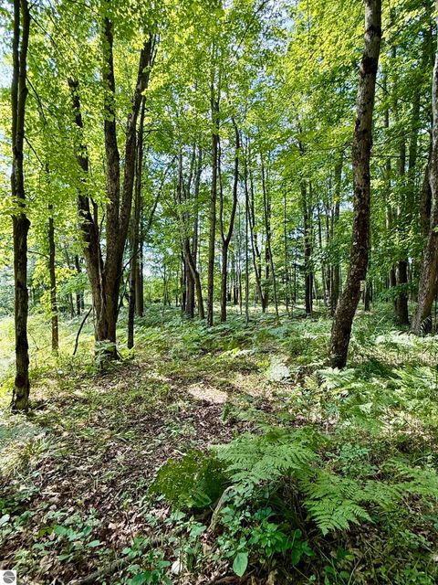 Tiny photo for 16121 130th Avenue, Leroy, MI 49655 (MLS # 1942930)