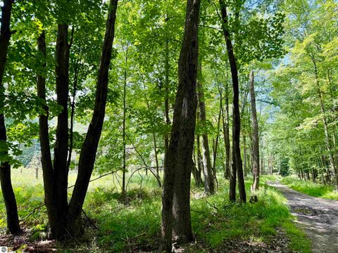 Tiny photo for 16121 130th Avenue, Leroy, MI 49655 (MLS # 1942930)