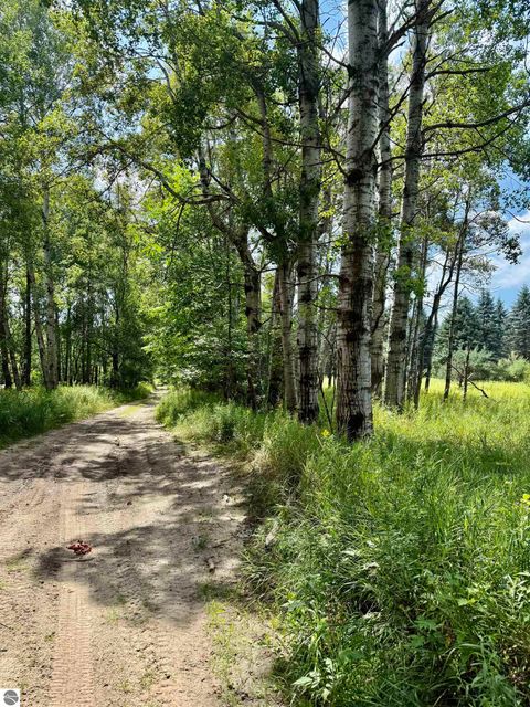 Tiny photo for 16121 130th Avenue, Leroy, MI 49655 (MLS # 1942930)