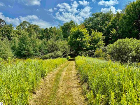 Tiny photo for 16121 130th Avenue, Leroy, MI 49655 (MLS # 1942930)