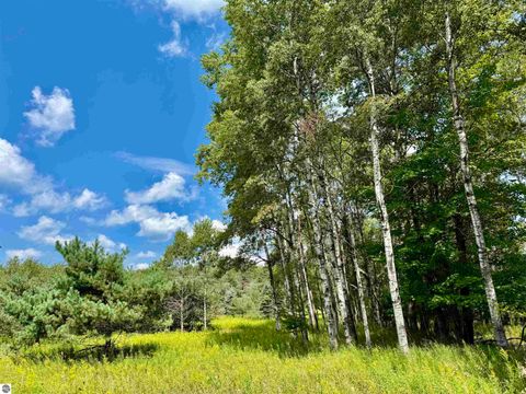 Tiny photo for 16121 130th Avenue, Leroy, MI 49655 (MLS # 1942930)