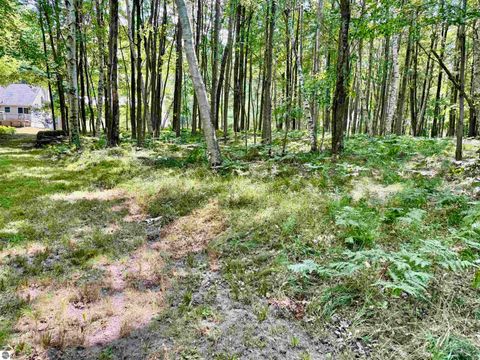 Tiny photo for 16121 130th Avenue, Leroy, MI 49655 (MLS # 1942930)