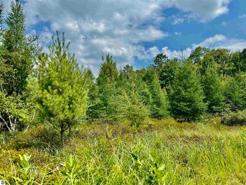 Tiny photo for 16121 130th Avenue, Leroy, MI 49655 (MLS # 1942930)