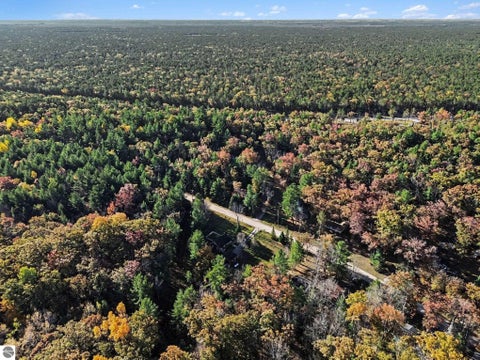 Tiny photo for 4358 Loud Dam Road, Glennie, MI 48737 (MLS # 1951764)