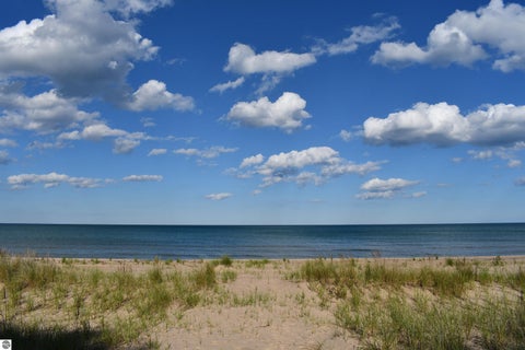 Tiny photo for 4927 S US-23, Greenbush, MI 48738 (MLS # 1946756)