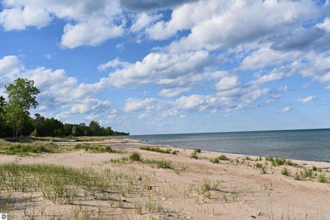 Tiny photo for 4927 S US-23, Greenbush, MI 48738 (MLS # 1946756)