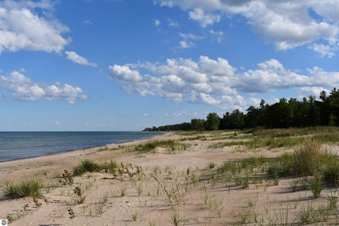 Tiny photo for 4927 S US-23, Greenbush, MI 48738 (MLS # 1946756)