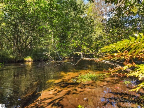 Tiny photo for 4207 Twins Trail, South Boardman, MI 49680 (MLS # 1949949)