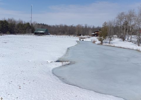 Tiny photo for 6757 19 Mile Road, Marion, MI 49665 (MLS # 1942774)