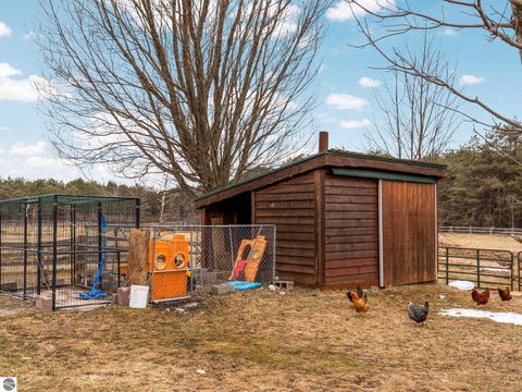 Tiny photo for 6757 19 Mile Road, Marion, MI 49665 (MLS # 1942774)