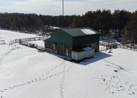 Tiny photo for 6757 19 Mile Road, Marion, MI 49665 (MLS # 1942774)