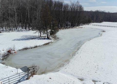 Tiny photo for 6757 19 Mile Road, Marion, MI 49665 (MLS # 1942774)