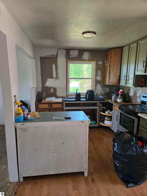 Tiny photo for 3006 E Procunier Road, Harrisville, MI 48740 (MLS # 1948725)