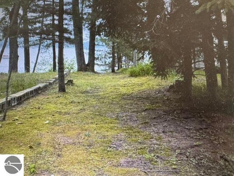 Tiny photo for 8530 W Sapphire Avenue, Lake City, MI 49651 (MLS # 1951671)