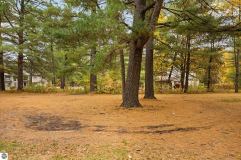 Tiny photo for 504 Cedar Street, Kalkaska, MI 49646 (MLS # 1951808)