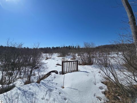 Tiny photo for 4390 S 37 Road, Cadillac, MI 49601 (MLS # 1942713)