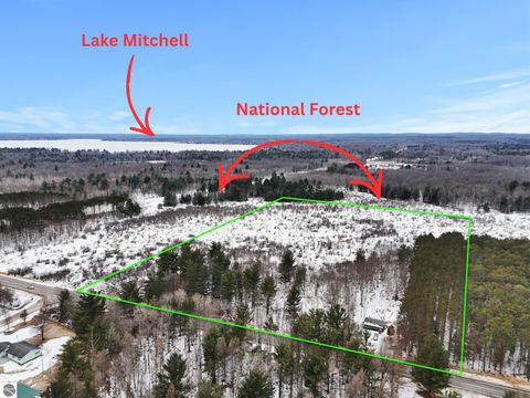 Tiny photo for 4390 S 37 Road, Cadillac, MI 49601 (MLS # 1942713)