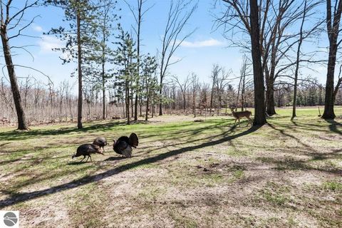 Tiny photo for 491 E Big Stone Lake, Lake, MI 48632 (MLS # 1944235)