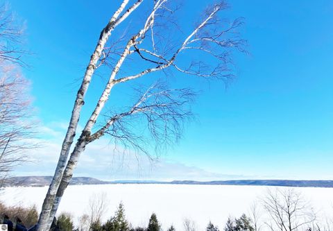 Tiny photo for 47 Hawks Nest, Glen Arbor, MI 49636 (MLS # 1942029)