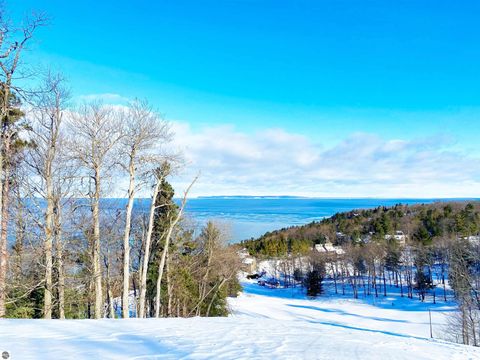 Tiny photo for 47 Hawks Nest, Glen Arbor, MI 49636 (MLS # 1942029)