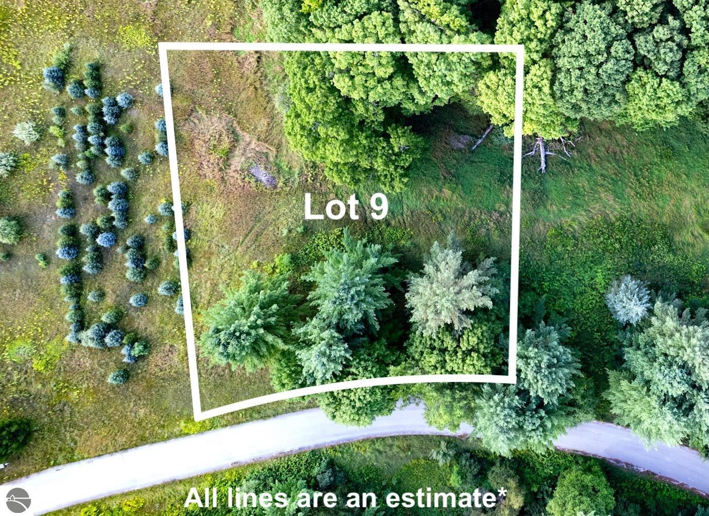 Photo 1 of 42 — Lot #9 Kadi Lane, Lake Ann, MI 49650