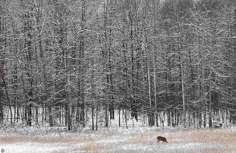 Tiny photo for 6536 Indian Hill Road, Honor, MI 49640 (MLS # 1942795)