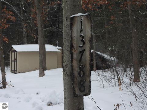 Tiny photo for 13788 Brethren Heights Road, Brethren, MI 49619 (MLS # 1941840)