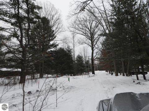 Tiny photo for 13788 Brethren Heights Road, Brethren, MI 49619 (MLS # 1941840)