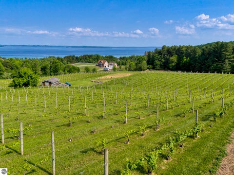 Tiny photo for 10702 E Hilltop Road, Suttons Bay, MI 49682 (MLS # 1947089)