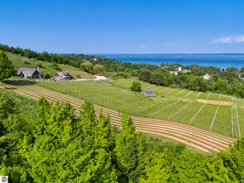 Tiny photo for 10702 E Hilltop Road, Suttons Bay, MI 49682 (MLS # 1947089)