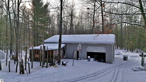 Tiny photo for 10885 SW Grand Kal Road, Fife Lake, MI 49633 (MLS # 1943290)