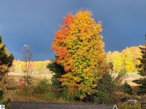 Tiny photo for 9901 S 41 Road, Cadillac, MI 49601 (MLS # 1945142)