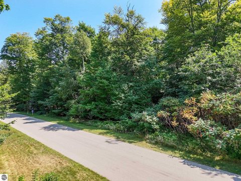 Tiny photo for 11648 Willow Point, Traverse City, MI 49686 (MLS # 1944084)