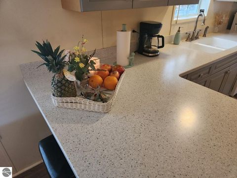 Tiny photo for 110 North Street, Bellaire, MI 49615 (MLS # 1943574)