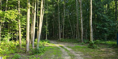 Tiny photo for 212 3rd Avenue, Alden, MI 49646 (MLS # 1948542)