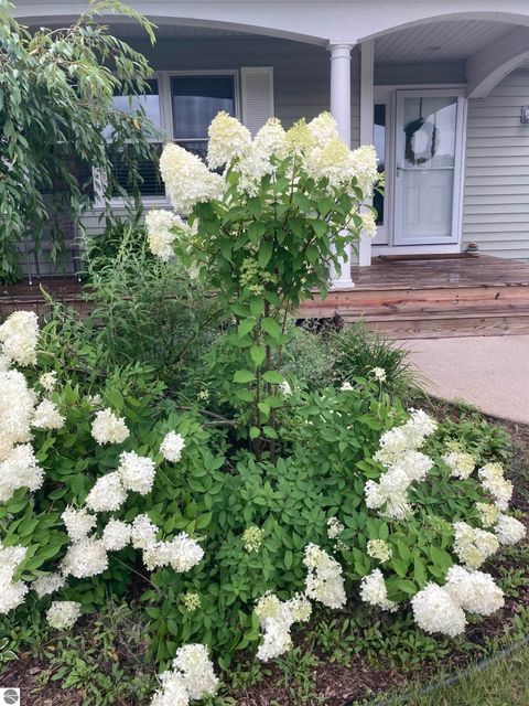 Tiny photo for 6107 Jeffrey Place, Grawn, MI 49637 (MLS # 1943201)