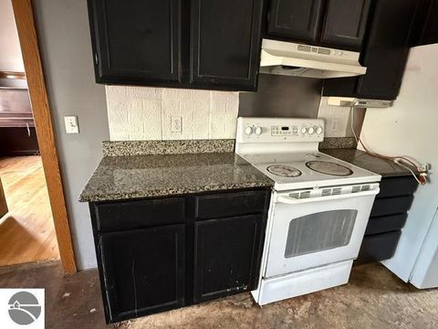 Tiny photo for 319 E Nelson Street, Cadillac, MI 49601 (MLS # 1941308)