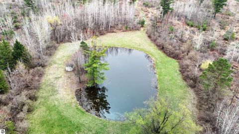 Tiny photo for 4145 W Shearer Road, Coleman, MI 48618 (MLS # 1944011)