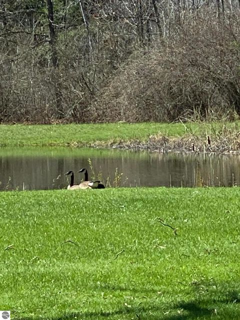 Tiny photo for 4145 W Shearer Road, Coleman, MI 48618 (MLS # 1944011)