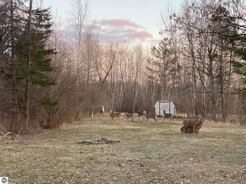 Tiny photo for 4145 W Shearer Road, Coleman, MI 48618 (MLS # 1944011)