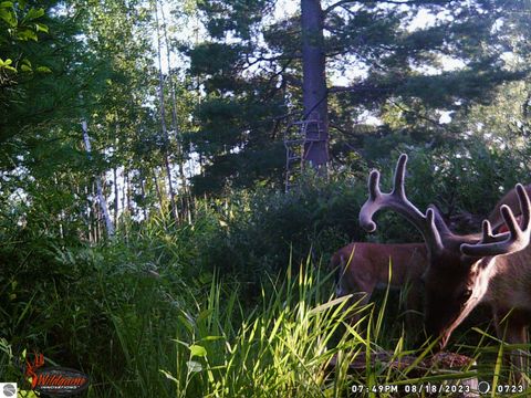 Tiny photo for 4145 W Shearer Road, Coleman, MI 48618 (MLS # 1944011)