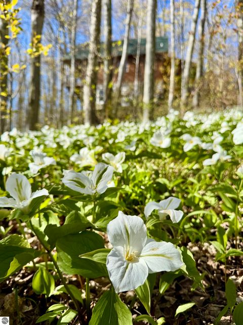 Tiny photo for 9779 E Johnson Road, Northport, MI 49670 (MLS # 1945854)