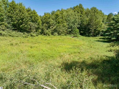Tiny photo for 4917 Deckerville Road, Lupton, MI 48635 (MLS # 1949392)